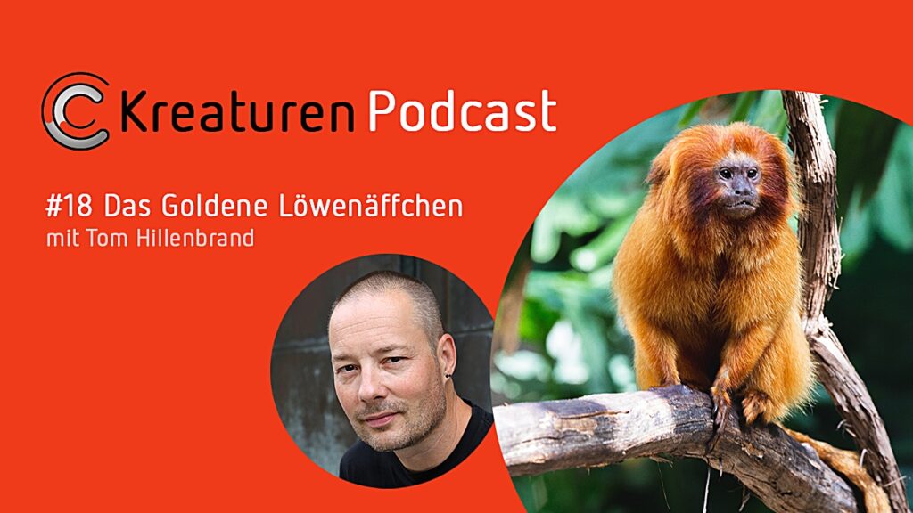 Kreaturen-Podcast – Folge 18: das goldene Löwenäffchen