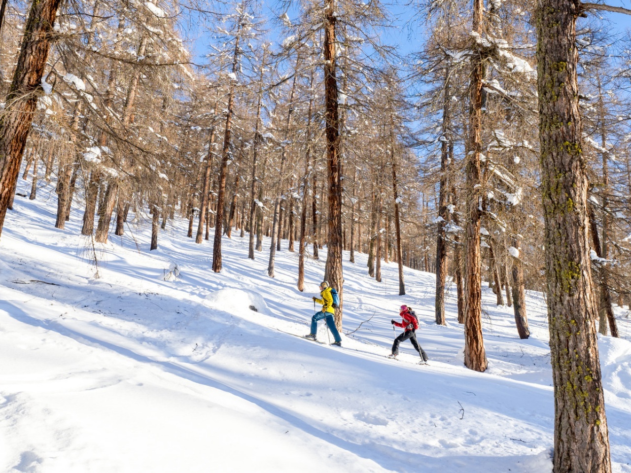 Sicherheit beim Skitouring: Die „Goldenen Regeln” des Schnee-Doktors