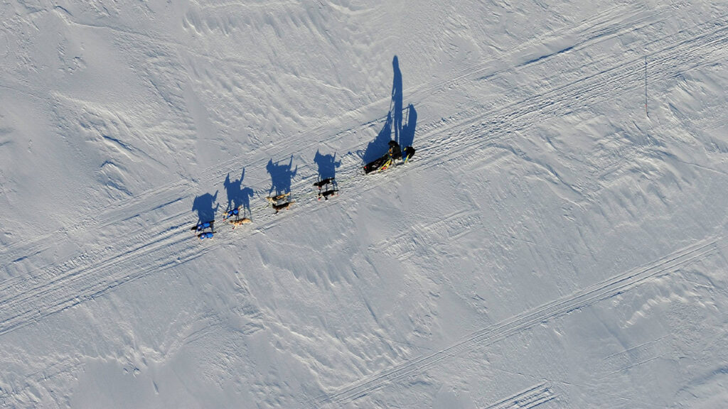 Iditarod: Das härteste Hundeschlittenrennen der Welt
